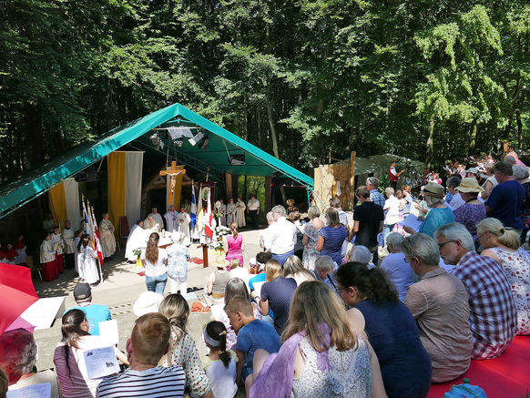 Festgottesdienst zum 1.000 Todestag des Heiligen Heimerads auf dem Hasunger Berg (Foto: Karl-Franz Thiede) Festgottesdienst zum 1.000 Todestag des Heiligen Heimerads auf dem Hasunger Berg (Foto: Karl-Franz Thiede)